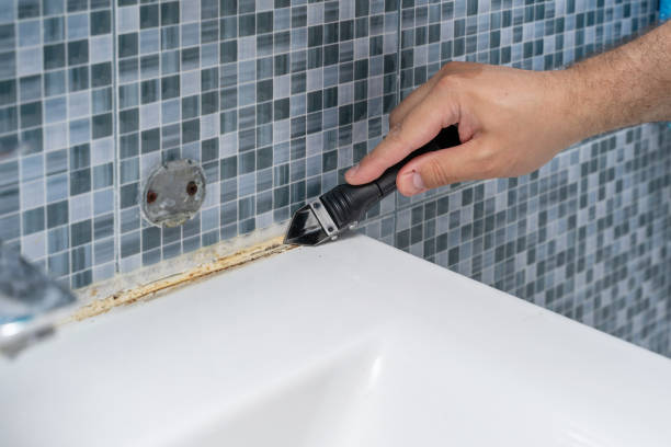 Mold Removal and Inspection in Williamstown, PA