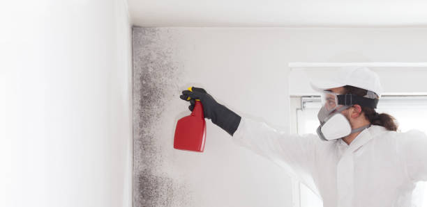 Best Emergency Mold Removal  in Williamstown, PA